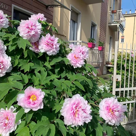 Calvino Bed & Breakfast Piacenza