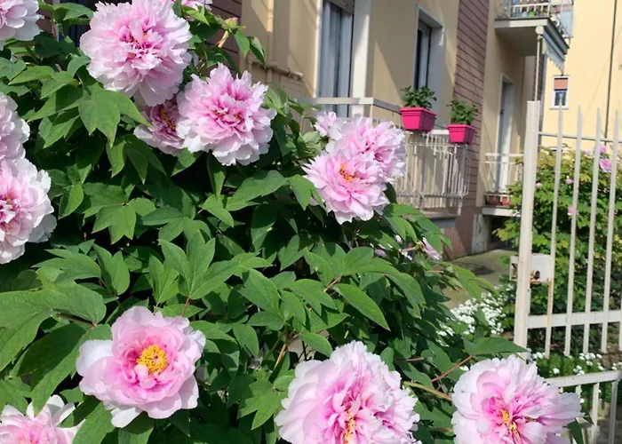 Calvino Bed & Breakfast Piacenza